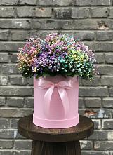 Цветочная композиция из Гипсофила и Розы в шляпной коробке в Самашки