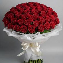 Букет 101 Красная роза Блэк Мэджик в Самашки