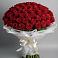 Букет 101 Красная роза Блэк Мэджик в Самашки
