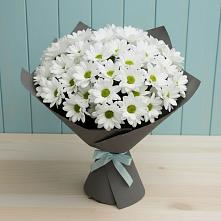 Букет цветов из:  Хризантемы в Самашки