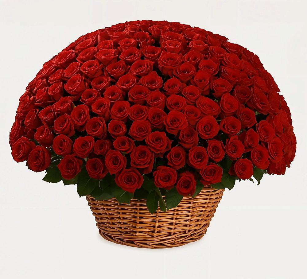 Премиум букет из: Розы в Самашки