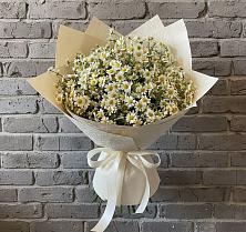 Букет цветов из:  Ромашки #REPLACE_PRED# Самашки