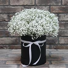 Цветочная композиция из Гипсофила в шляпной коробке #REPLACE_PRED# Самашки