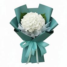Букет цветов из:  Гортензия в Самашки